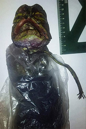Alleged Alien Corpse