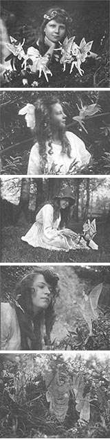 fairy Photos