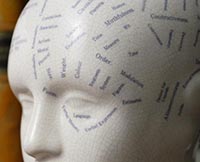 phrenology